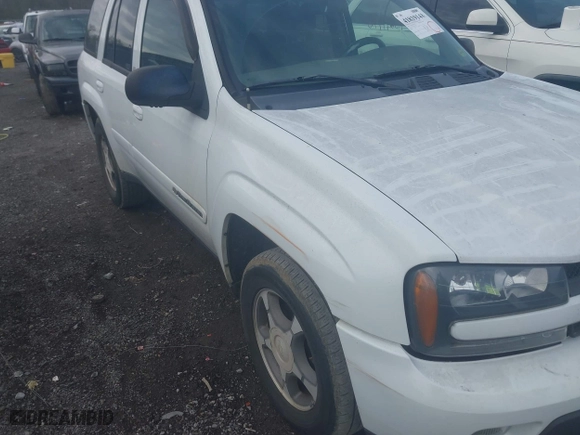 2004 Chevrolet TrailBlazer LS with VIN 1GNDT13S742174726, listed as a IAAI auction lot 41819148 with 266,159 mi miles. Bid and sale history available at carsss.com. Image 6.