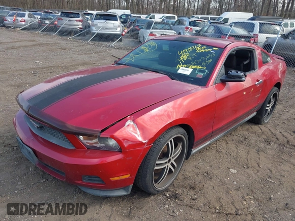 2011 Ford Mustang V6 with VIN 1ZVBP8AM6B5115712, listed as a IAAI auction lot 41918263 with Not provided miles and . Bid and sale history available at DreamBid. Image 2.