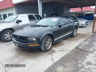 2005 Ford Mustang Deluxe with VIN 1ZVFT80N855159738, listed as a IAAI auction lot 42063276 with 214,063 mi miles. Bid and sale history available at carsss.com. Image 2.