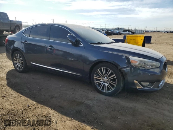 2014 Kia Cadenza Premium with VIN KNALN4D7XE5145311, listed as a Copart auction lot 48396535 with 193,301 mi miles and Salvage Title. Bid and sale history available at carsss.com. Image 4.