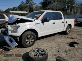2017 Ford F-150 XL with VIN 1FTEW1C86HFC38651, listed as a Copart auction lot 48594445 with 293,376 mi miles and Clean Title. Bid and sale history available at carsss.com. Image 1.