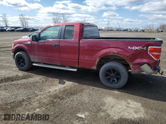 2013 Ford F-150 XL with VIN 1FTFX1EF0DFB86523, listed as a Copart auction lot 53498135 with 460,305 mi miles and Salvage title. Bid and sale history available at DreamBid. Image 2.