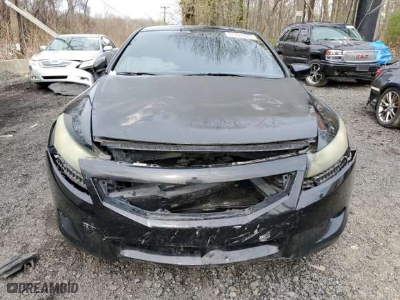 2009 Honda Accord Cpe EX-L with VIN 1HGCS22859A004625, listed as a Copart auction lot 51747325 with NaN miles and Salvage Title. Bid and sale history available at carsss.com. Image 5.