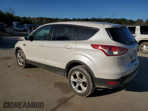 2013 Ford Escape SE with VIN 1FMCU0G99DUD32194, listed as a Copart auction lot 89359645 with 117,912 mi miles and Salvage Title. Bid and sale history available at DreamBid. Image 2.