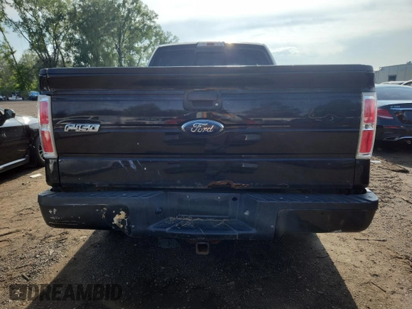 2010 Ford F-150 XL with VIN 1FTEX1E84AFB67904, listed as a Copart auction lot 64448135 with 139,156 mi miles and Clean title. Bid and sale history available at DreamBid. Image 6.