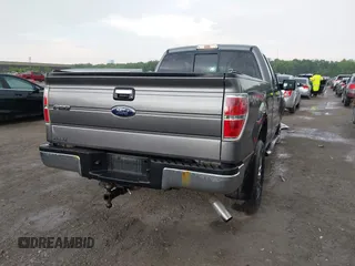 2010 Ford F-150 XL with VIN 1FTEX1E83AFD64062, listed as a IAAI auction lot 42550600 with 135,059 mi miles and . Bid and sale history available at DreamBid. Image 4.