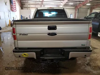 2010 Ford F-150 XL with VIN 1FTFX1EVXAFB17244, listed as a Copart auction lot 50025515 with 0 mi miles and Clean Title. Bid and sale history available at carsss.com. Image 6.