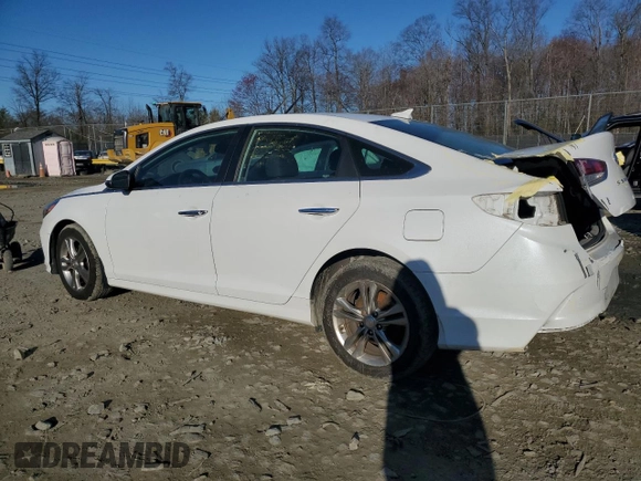 2019 Hyundai Sonata SEL with VIN 5NPE34AFXKH740443, listed as a Copart auction lot 49321825 with 52,162 mi miles and Salvage Title. Bid and sale history available at DreamBid. Image 2.