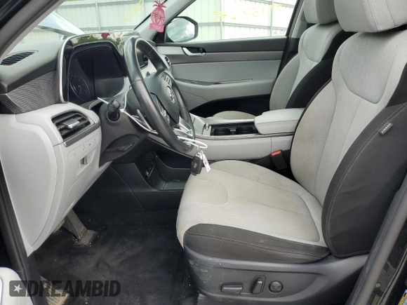 2020 Hyundai Palisade SEL with VIN KM8R3DHE0LU136918, listed as a Copart auction lot 59132245 with 102,501 mi miles and Salvage title. Bid and sale history available at DreamBid. Image 7.