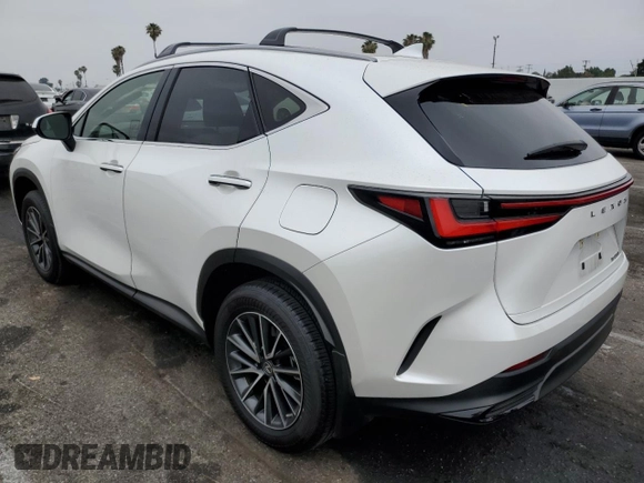 2023 Lexus NX 250 with VIN JTJADCAZ5P5011769, listed as a Copart auction lot 59917725 with 21,887 mi miles and Salvage title. Bid and sale history available at DreamBid. Image 2.