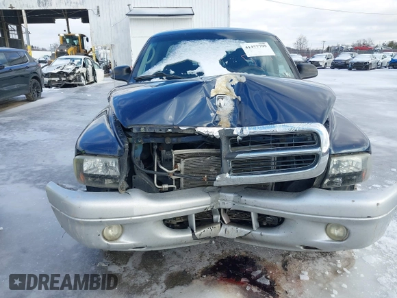 2004 Dodge Dakota SLT with VIN 1D7HG42N74S665198, listed as a IAAI auction lot 41477799 with 213,175 mi miles. Bid and sale history available at carsss.com. Image 6.