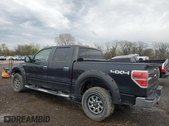 2010 Ford F-150 XL with VIN 1FTFW1EV1AKB33018, listed as a Copart auction lot 54377785 with 160,695 mi miles and Salvage title. Bid and sale history available at DreamBid. Image 2.