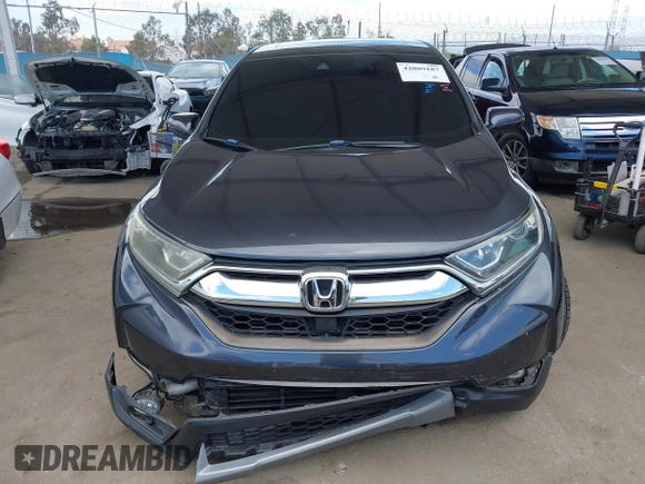 2019 Honda CR-V EX with VIN 5J6RW1H53KA031097, listed as a IAAI auction lot 42009187 with 115,701 mi miles. Bid and sale history available at carsss.com. Image 13.