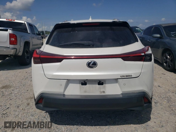 2022 Lexus UX 200 с VIN JTHP3JBH9N2051389, выставлен на аукционе Copart как лот 55284085 с пробегом 78 592 миль миль и Списание • Salvage title. История ставок и продаж доступна на DreamBid. Изображение 6.