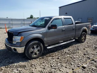 2010 Ford F-150 XL with VIN 1FTFW1EV6AFD75232, listed as a Copart auction lot 63210755 with 224,424 mi miles and Clean title. Bid and sale history available at DreamBid. Image 1.