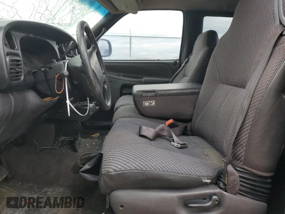 1999 Dodge 1500 with VIN 3B7HC12Y8XG189909, listed as a Copart auction lot 87682755 with Not Provided miles and Salvage Title. Bid and sale history available at DreamBid. Image 7.
