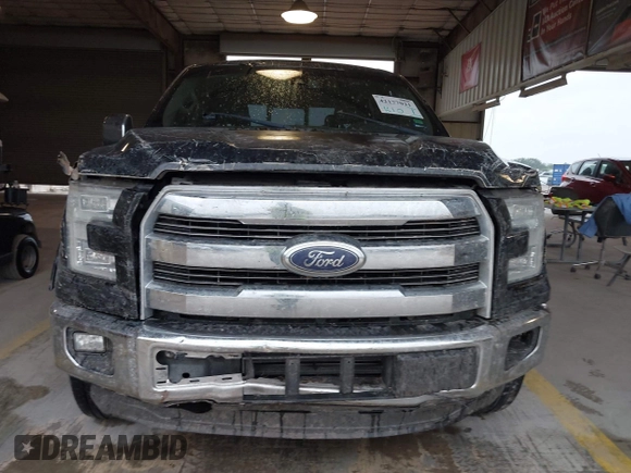 2015 Ford F-150 XL with VIN 1FTEW1CG4FKD77401, listed as a IAAI auction lot 42177021 with 162,825 mi miles. Bid and sale history available at carsss.com. Image 12.