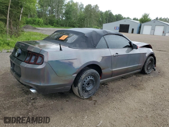 2013 Ford Mustang V6 with VIN 1ZVBP8EMXD5213980, listed as a Copart auction lot 60423625 with 220,419 mi miles and Salvage title. Bid and sale history available at DreamBid. Image 3.