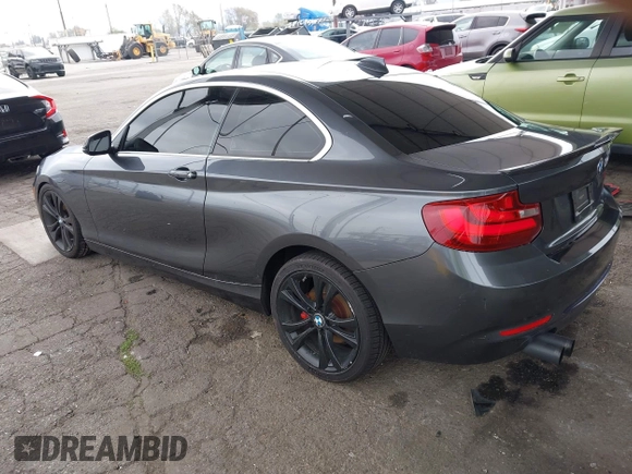 2014 BMW 2 Series 228i with VIN WBA1F5C5XEV255284, listed as a IAAI auction lot 41895642 with 62,079 mi miles and . Bid and sale history available at carsss.com. Image 3.