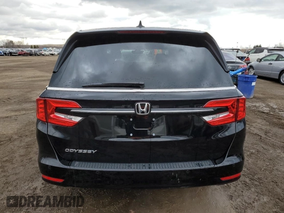 2024 Honda Odyssey EX-L with VIN 5FNRL6H69RB501705, listed as a Copart auction lot 53372625 with 29,603 mi miles and Clean Title. Bid and sale history available at DreamBid. Image 6.