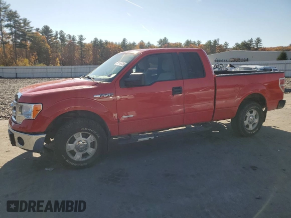 2013 Ford F-150 XL z VIN 1FTFX1ET0DFC91522, wystawiony jako Copart lot #76019724 z przebiegiem 198 880 mil mil oraz Szkoda całkowita • Salvage title. Historia ofert i sprzedaży dostępna na DreamBid. Obrazek 1.
