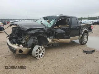 2014 Ford F-150 XL with VIN 1FTFW1ET1EKD08873, listed as a Copart auction lot 55858015 with Not provided miles and Non repairable. Bid and sale history available at DreamBid. Image 1.