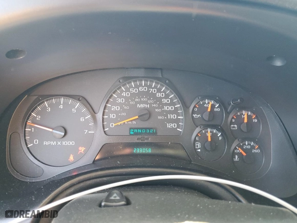 2005 Chevrolet TrailBlazer LS with VIN 1GNDS13S652318576, listed as a Copart auction lot 45688155 with NaN miles and Salvage Title. Bid and sale history available at carsss.com. Image 9.