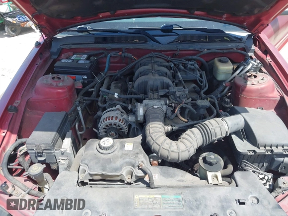 2008 Ford Mustang Deluxe with VIN 1ZVHT84N785153453, listed as a IAAI auction lot 41917393 with 124,104 mi miles and . Bid and sale history available at carsss.com. Image 10.