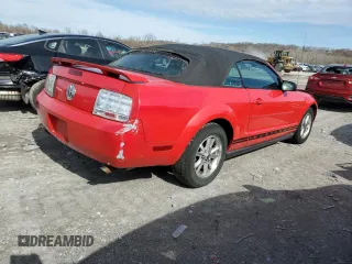 2006 Ford Mustang Standard with VIN 1ZVFT84N465151325, listed as a Copart auction lot 50571645 with Not Provided miles and Clean Title. Bid and sale history available at carsss.com. Image 3.