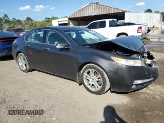 2009 Acura TL Tech with VIN 19UUA86589A001776, listed as a Copart auction lot 50307395 with 116,172 mi miles and Salvage Title. Bid and sale history available at carsss.com. Image 4.