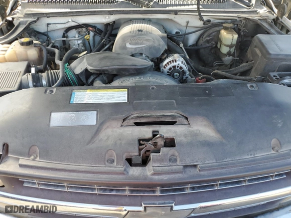 2001 Chevrolet Silverado 1500 LS with VIN 2GCEC19TX11100550, listed as a Copart auction lot 48069135 with 0 mi miles and Salvage Title. Bid and sale history available at carsss.com. Image 11.