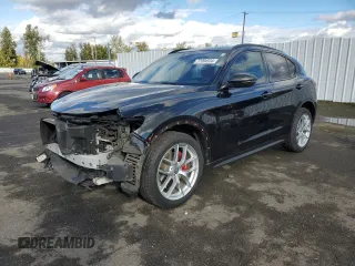2019 Alfa Romeo Stelvio Ti Lusso z VIN ZASPAKBN9K7C34316, wystawiony jako Copart lot #77994534 z przebiegiem 51 598 mil mil oraz Szkoda całkowita • Salvage title. Historia ofert i sprzedaży dostępna na DreamBid. Obrazek 1.