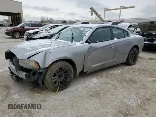 2013 Dodge Charger SE with VIN 2C3CDXBGXDH600079, listed as a Copart auction lot 44765685 with 188,431 mi miles and Salvage Title. Bid and sale history available at carsss.com. Image 1.
