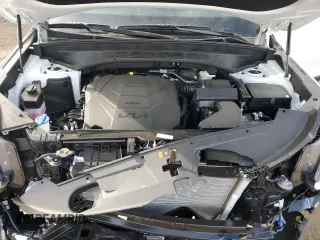 2025 Kia Telluride SX X-Line с VIN 5XYP5DGC6SG594579, выставлен на аукционе Copart как лот 48761095 с пробегом 466 миль миль и Списание • Salvage title. История ставок и продаж доступна на DreamBid. Изображение 12.