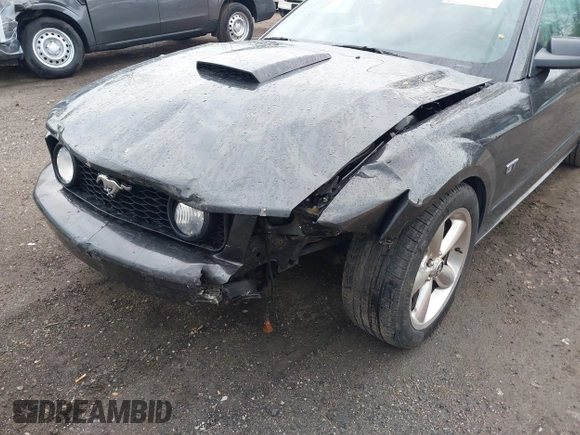 2008 Ford Mustang GT Deluxe with VIN 1ZVHT82HX85117723, listed as a IAAI auction lot 42015967 with 120,406 mi miles and . Bid and sale history available at carsss.com. Image 6.