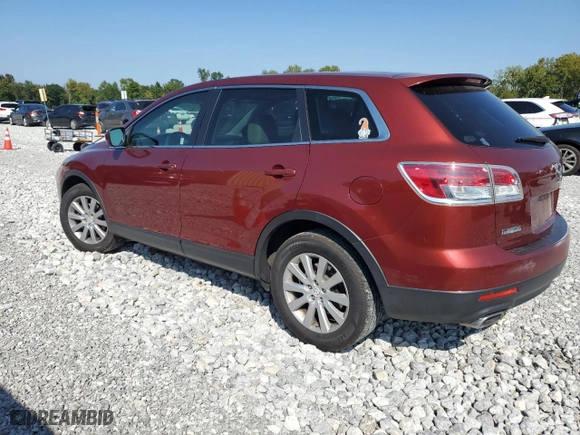 2009 Mazda CX-9 Grand Touring with VIN JM3TB38A690173807, listed as a Copart auction lot 46302595 with 257,742 mi miles and Salvage Title. Bid and sale history available at carsss.com. Image 2.