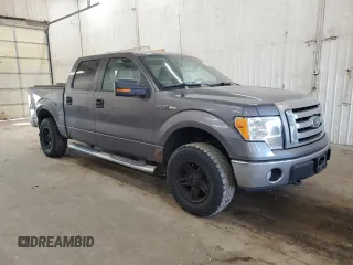 2010 Ford F-150 XL with VIN 1FTFW1EV5AKE16361, listed as a Copart auction lot 49160425 with 125,483 mi miles and Non Repairable. Bid and sale history available at carsss.com. Image 4.
