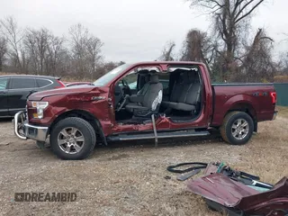 2017 Ford F-150 XL with VIN 1FTEW1EG9HFB75226, listed as a IAAI auction lot 41130292 with 125,205 mi miles. Bid and sale history available at carsss.com. Image 15.