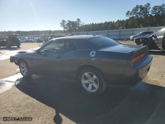 2013 Dodge Challenger R/T with VIN 2C3CDYBT8DH742126, listed as a Copart auction lot 41587655 with 0 mi miles and Salvage Title. Bid and sale history available at carsss.com. Image 2.