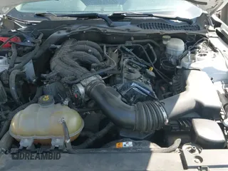 2017 Ford Mustang V6 с VIN 1FA6P8AM9H5259905, выставлен на аукционе IAAI как лот 43243128 с пробегом 75 257 миль миль и . История ставок и продаж доступна на DreamBid. Изображение 24.