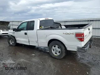 2014 Ford F-150 XL with VIN 1FTEX1EMXEFC40664, listed as a Copart auction lot 43030155 with 144,720 mi miles and Salvage Title. Bid and sale history available at carsss.com. Image 2.