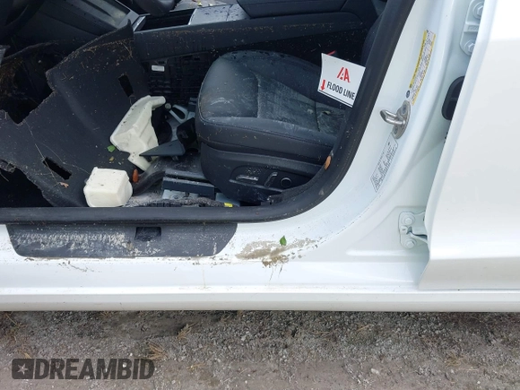 2024 Tesla Model 3 with VIN 5YJ3E1EA6RF751009, listed as a IAAI auction lot 40537919 with Not Provided miles and . Bid and sale history available at DreamBid. Image 6.