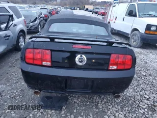 2008 Ford Mustang GT Deluxe with VIN 1ZVHT85H085120710, listed as a Copart auction lot 81685414 with 88,026 mi miles and Salvage Title. Bid and sale history available at DreamBid. Image 6.