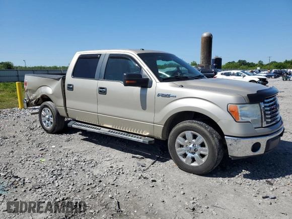 2010 Ford F-150 XL with VIN 1FTFW1CV6AFC27519, listed as a Copart auction lot 52773375 with 256,320 mi miles and Salvage Title. Bid and sale history available at carsss.com. Image 4.