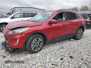 2021 Ford Escape SEL Hybrid with VIN 1FMCU9CZ6MUB19679, listed as a Copart auction lot 53336115 with Not provided miles and Clean title. Bid and sale history available at DreamBid. Image 1.