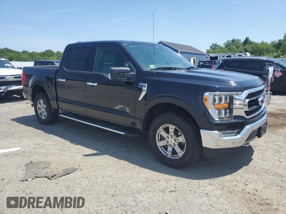 2021 Ford F-150 XL with VIN 1FTFW1E54MKD43407, listed as a Copart auction lot 59912375 with 80,087 mi miles and Salvage title. Bid and sale history available at DreamBid. Image 4.