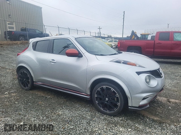 2013 Nissan Juke S with VIN JN8AF5MVXDT219143, listed as a Copart auction lot 49117665 with Not Provided miles and Salvage Title. Bid and sale history available at DreamBid. Image 4.