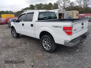 2013 Ford F-150 XL z VIN 1FTFW1EF1DFA01110, wystawiony jako IAAI lot #41729288 z przebiegiem 257 963 mil mil oraz . Historia ofert i sprzedaży dostępna na DreamBid. Obrazek 3.