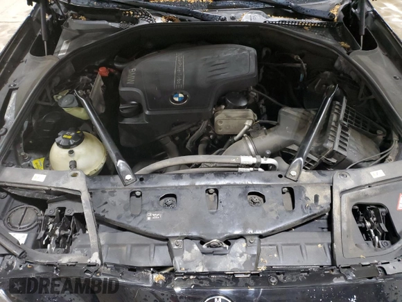 2016 BMW 5 Series 528i xDrive with VIN WBA5A7C53GG146863, listed as a Copart auction lot 52682925 with 162,383 mi miles and Salvage Title. Bid and sale history available at carsss.com. Image 11.
