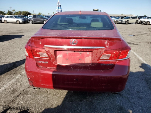 2010 Lexus ES 350 with VIN JTHBK1EG2A2348868, listed as a Copart auction lot 51092255 with 0 mi miles and Salvage Title. Bid and sale history available at carsss.com. Image 6.